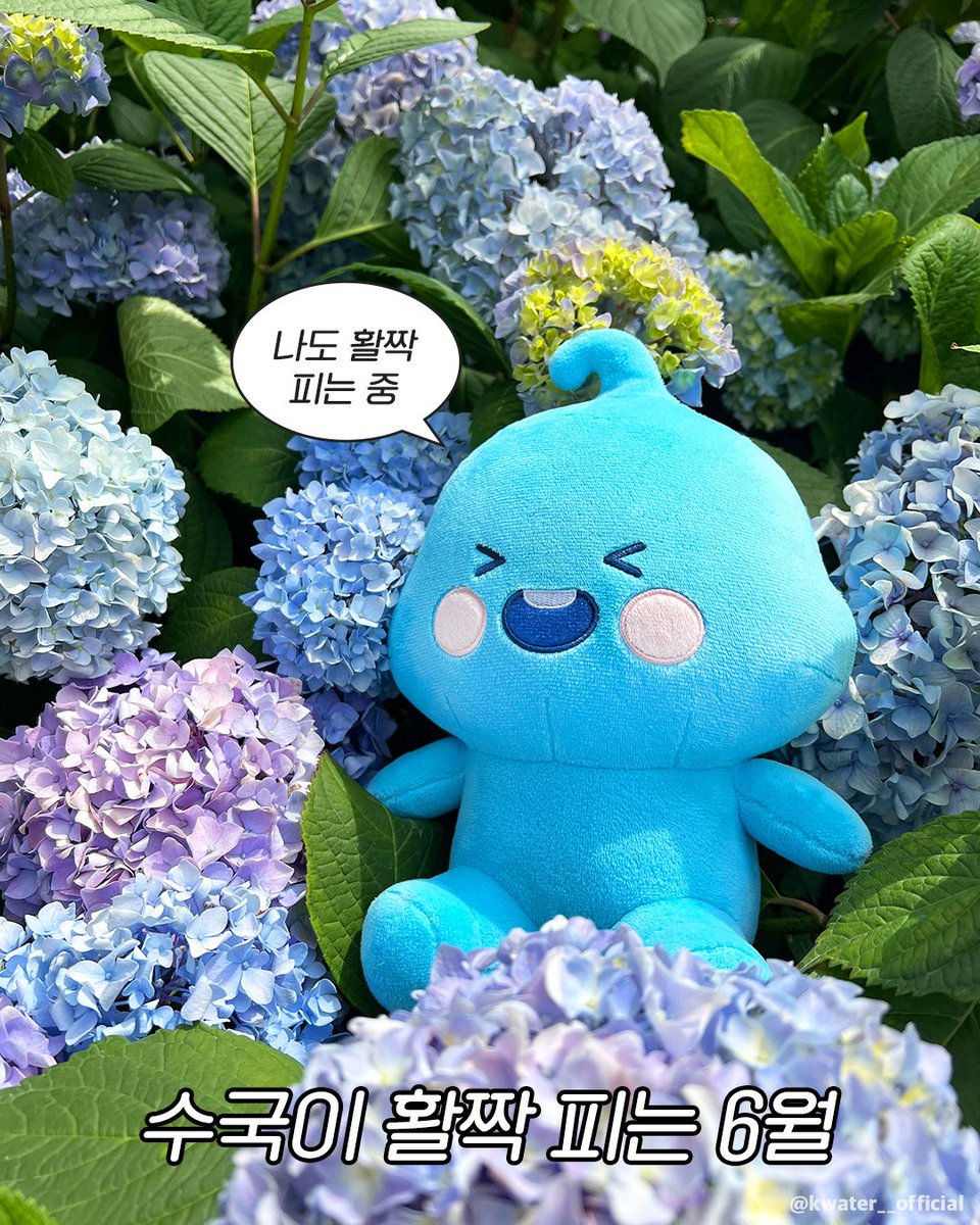 방울이가 피자 열 판 쏩니다🍕

허리피자
가슴피자
어깨피자
얼굴피자
팔다리피자
주름살피자
내형편피자
내인생피자
웃음꽃피자
내팔자피자

#한국수자원공사 #Kwater #방울이
#공감짤 #6월의꽃 #수국 #활짝피는하루
#스마일어게인 #페스티벌 #수국만개