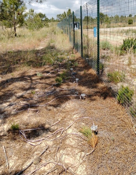 📍Fieldwork update from <a href="/marclaimed/">MARCLAIMED 🇪🇺</a> Demo Site in #Portugal!

✅Our project team from LNEC has completed a crucial geophysical investigation to precisely map the infiltration pathways of treated #wastewater into the aquifer.

▶️See more: marclaimed.eu/geophysical-in…