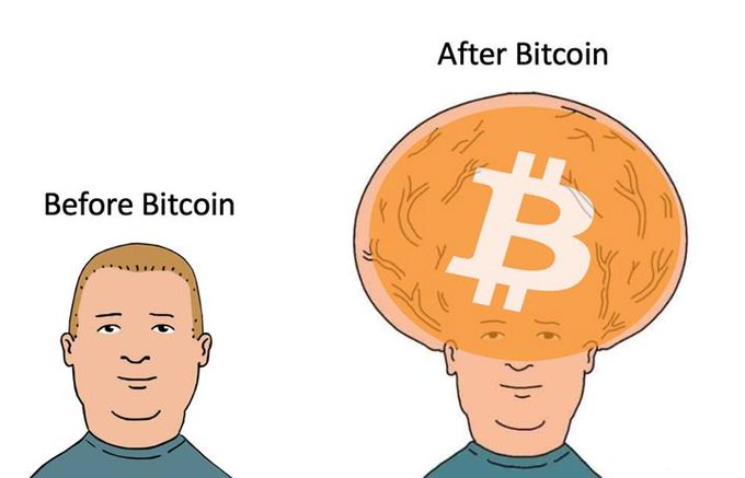 coinfinity's tweet image. GM, Bitcoin erweitert deinen Horizont