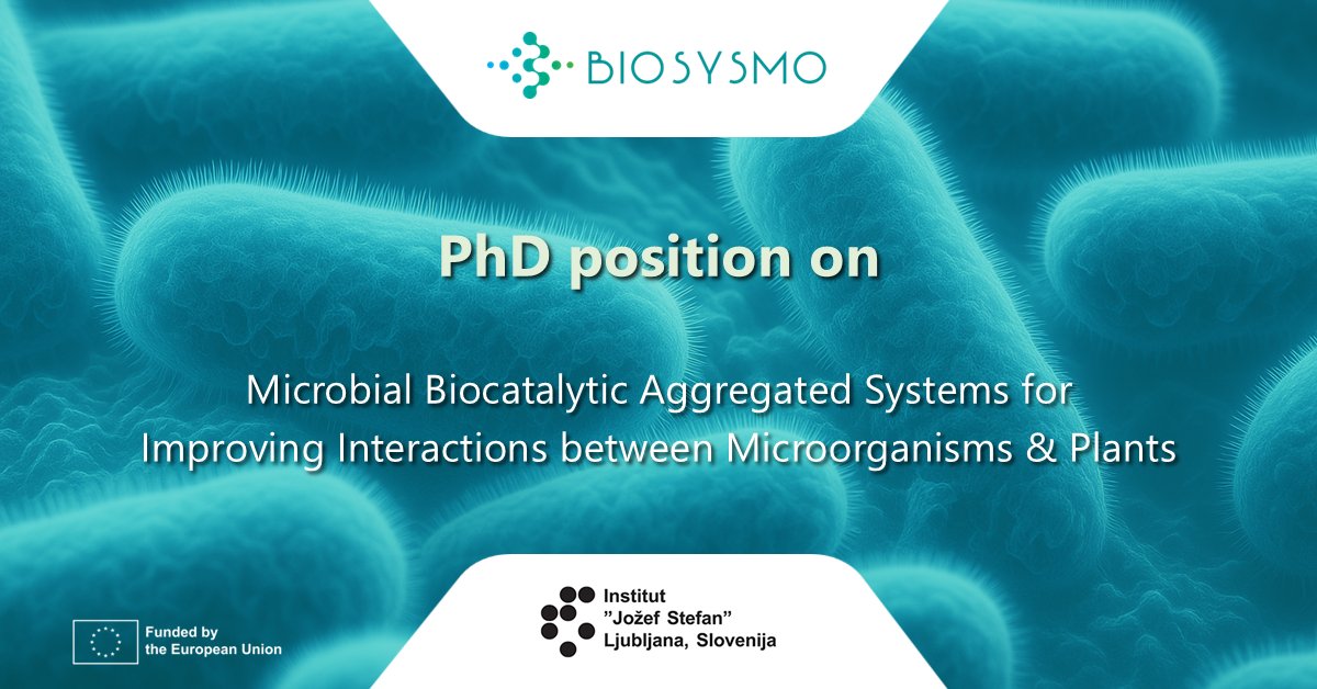 BIOSYSMO Project (@biosysmo) on Twitter photo 🚨 We are excited to share a PhD position at <a href="/JSI_SLO/">Jožef Stefan Institute</a>, partner of <a href="/biosysmo/">BIOSYSMO Project</a> Project! 🌱🧫
🎓 Young Researcher government-funded PhD program
🔬 Topic: Microbial biocatalytic aggregated systems for improving interactions between microorganisms and plants
👨🔬 Scientific Advisors: 🚨 We are excited to share a PhD position at <a href="/JSI_SLO/">Jožef Stefan Institute</a>, partner of <a href="/biosysmo/">BIOSYSMO Project</a> Project! 🌱🧫
🎓 Young Researcher government-funded PhD program
🔬 Topic: Microbial biocatalytic aggregated systems for improving interactions between microorganisms and plants
👨🔬 Scientific Advisors: