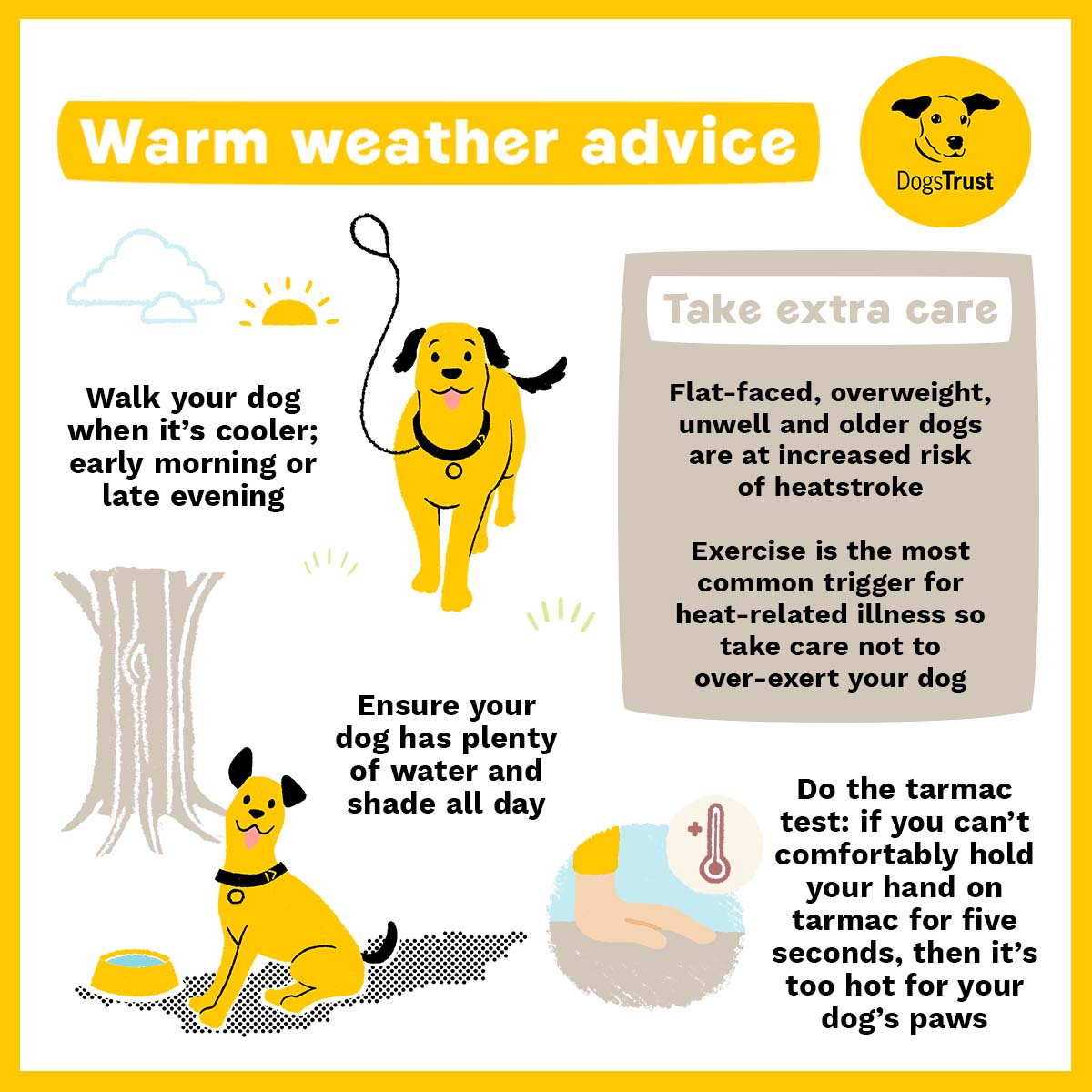 DT_Leeds's tweet photo. ‼ #HOTWEATHER WARNING ‼
Please swipe 👈 to read some really good advice on how to keep your #dogs safe and well during the expected #heatwave. 🌞🐶💛
#WeatherWarning #HotWeatherWarning #RescueDogs #AdoptDontShop #Heatwave #Leeds #FunInTheSun #GoodAdvice #DogSafety @DogsTrust https://t.co/mwQruW4vMf