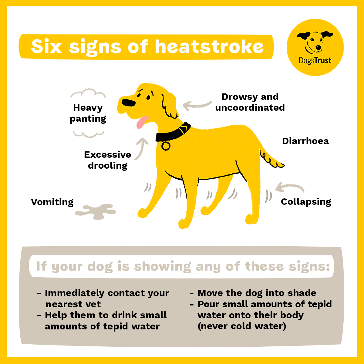 DT_Leeds's tweet photo. ‼ #HOTWEATHER WARNING ‼
Please swipe 👈 to read some really good advice on how to keep your #dogs safe and well during the expected #heatwave. 🌞🐶💛
#WeatherWarning #HotWeatherWarning #RescueDogs #AdoptDontShop #Heatwave #Leeds #FunInTheSun #GoodAdvice #DogSafety @DogsTrust https://t.co/mwQruW4vMf