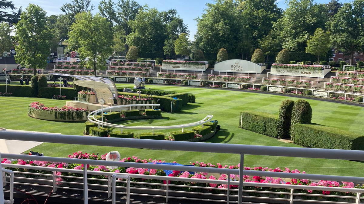 Tom Collins tweet media