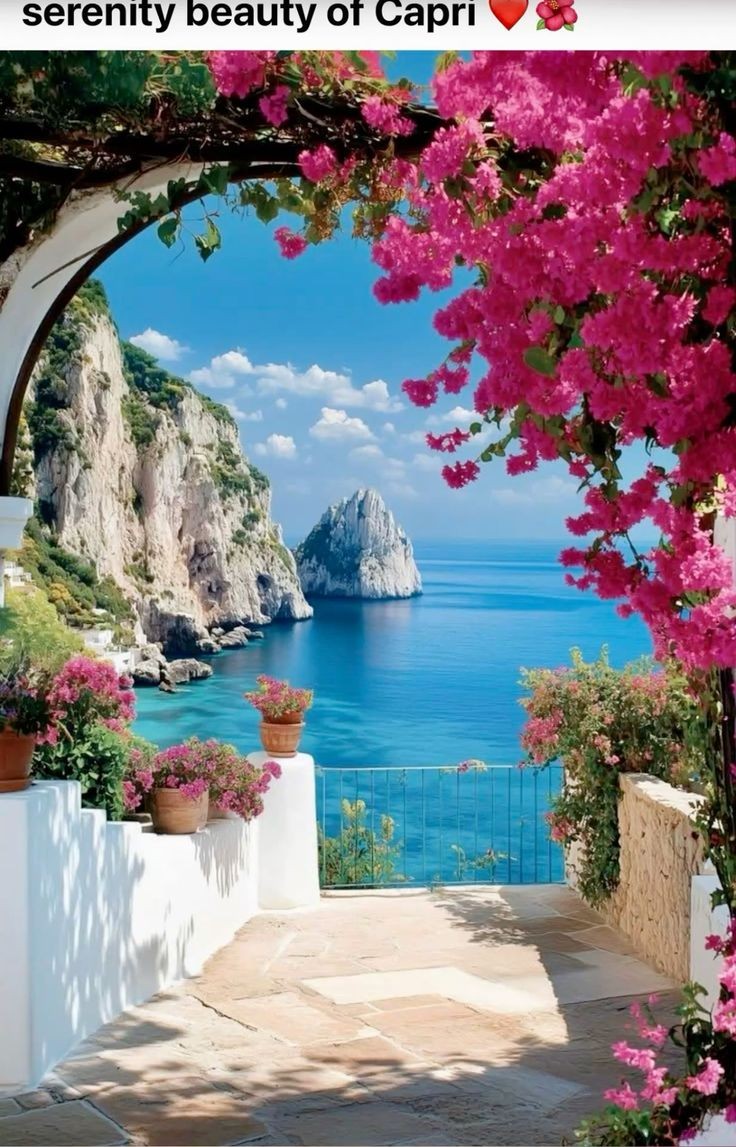 HusseinJafo's tweet photo. @ShirinFerdos Good morning https://t.co/r30lpqep7A