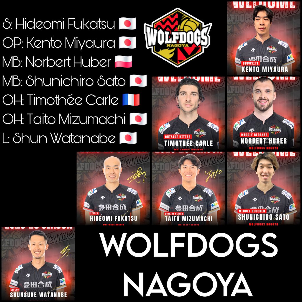 ❗️🇯🇵 WOLFDOGS NAGOYA x
SEZON LIGOWY 2025/2026.:

Potencjał na złoty medal
mistrzostw Japonii. 🔝

S: Hideomi Fukatsu 🇯🇵 
OP: Kento Miyaura 🇯🇵
MB: Norbert Huber 🇵🇱
MB: Shunichiro Sato 🇯🇵
OH: Timothée Carle 🇨🇵
OH: Taito Mizumachi 🇯🇵
L: Shun Watanabe 🇯🇵

🤯🤯🤯🤯

#podsiatka