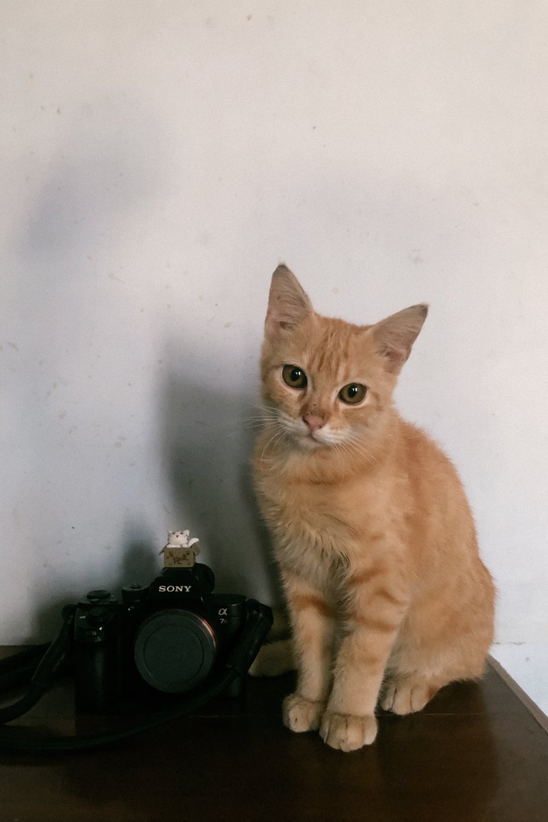 munyil & kunyil tweet media