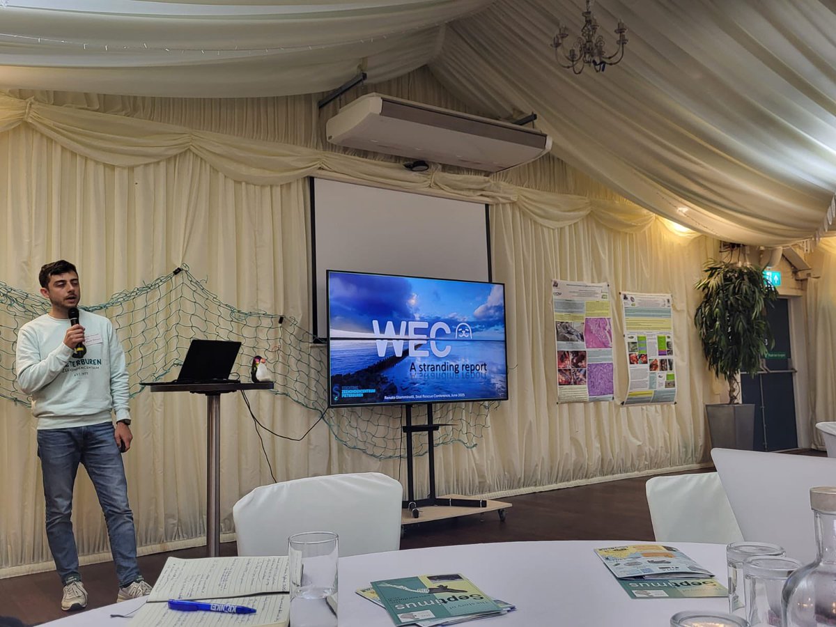 renapoly_93's tweet image. Last week Matilde and I attended the #SealRescue Conference, held this year in #Newquay, UK.
It was an amazing experience, where we met people from other countries who work with seals, just like us!
Next year’s conference will be at the #WEC!
#アザラシ幼稚園