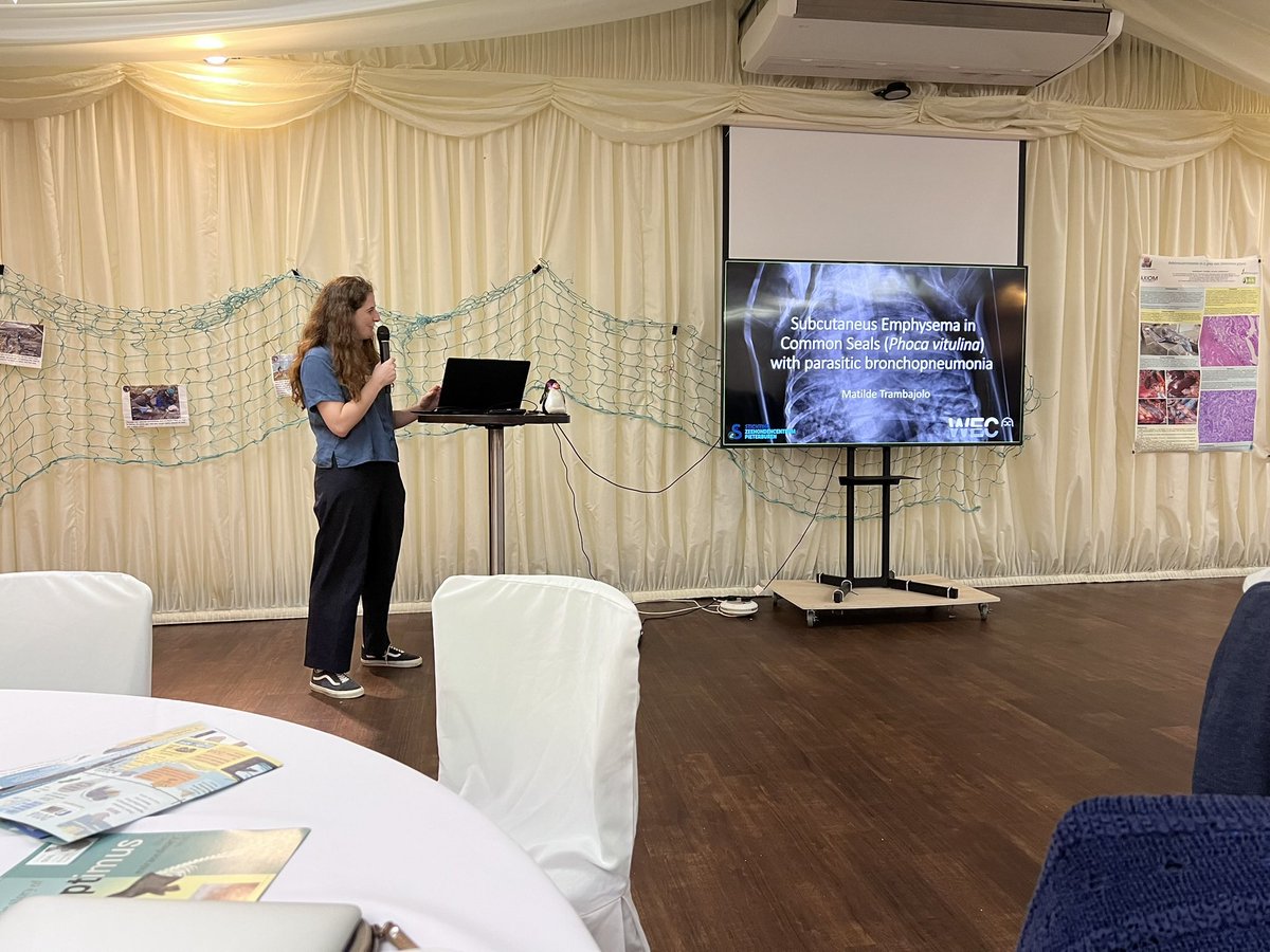 renapoly_93's tweet image. Last week Matilde and I attended the #SealRescue Conference, held this year in #Newquay, UK.
It was an amazing experience, where we met people from other countries who work with seals, just like us!
Next year’s conference will be at the #WEC!
#アザラシ幼稚園