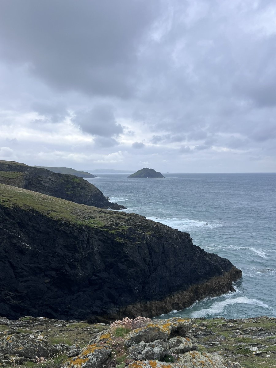 renapoly_93's tweet image. Last week Matilde and I attended the #SealRescue Conference, held this year in #Newquay, UK.
It was an amazing experience, where we met people from other countries who work with seals, just like us!
Next year’s conference will be at the #WEC!
#アザラシ幼稚園