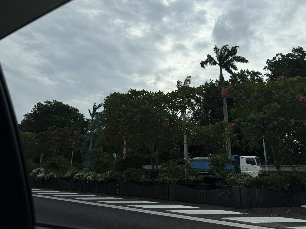 6月的坡坡竟然不热