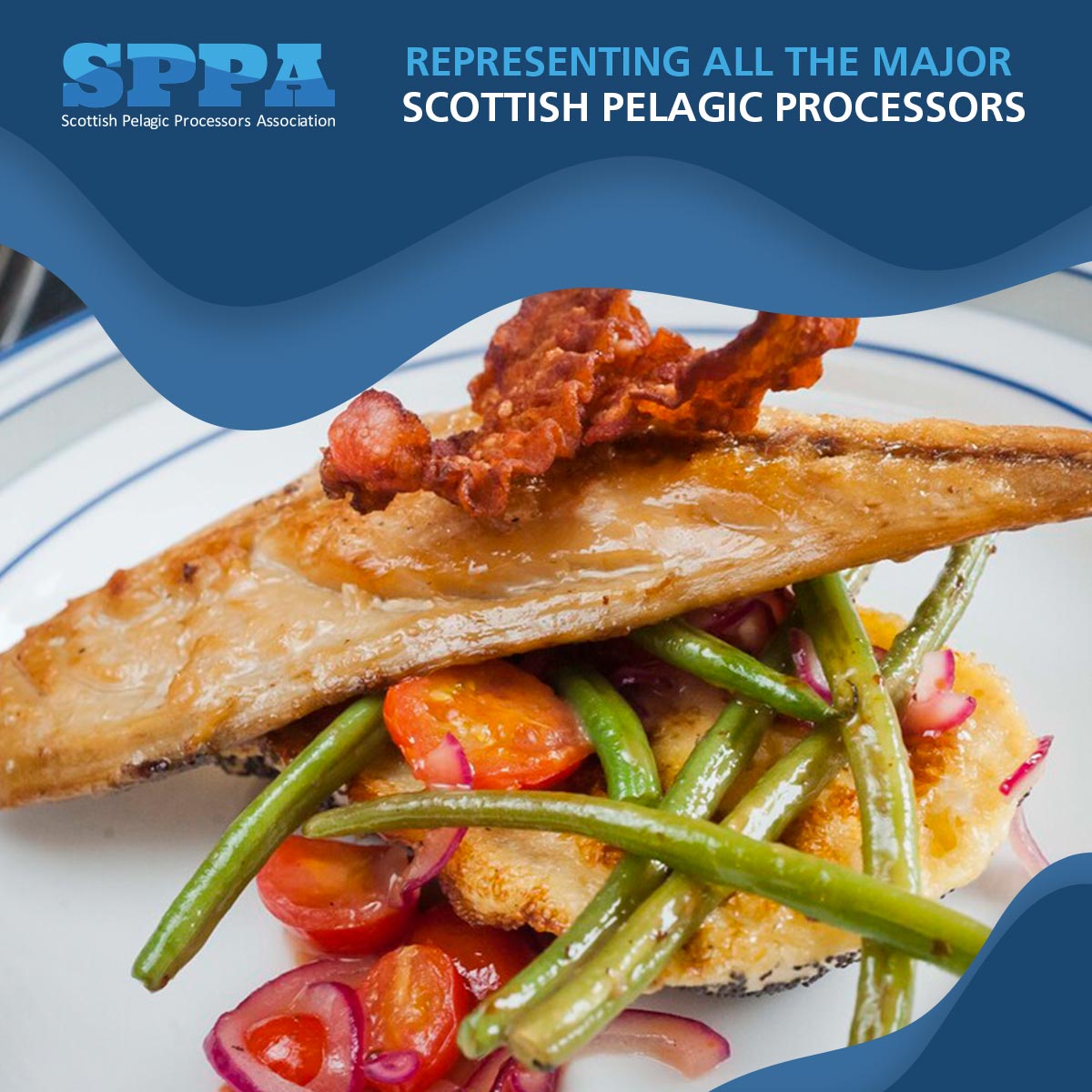 It's our recipe of the week - Warm Mackerel Salad on Toast with Mustard Dressing #LoveSeafood

bit.ly/3Kv1qOJ