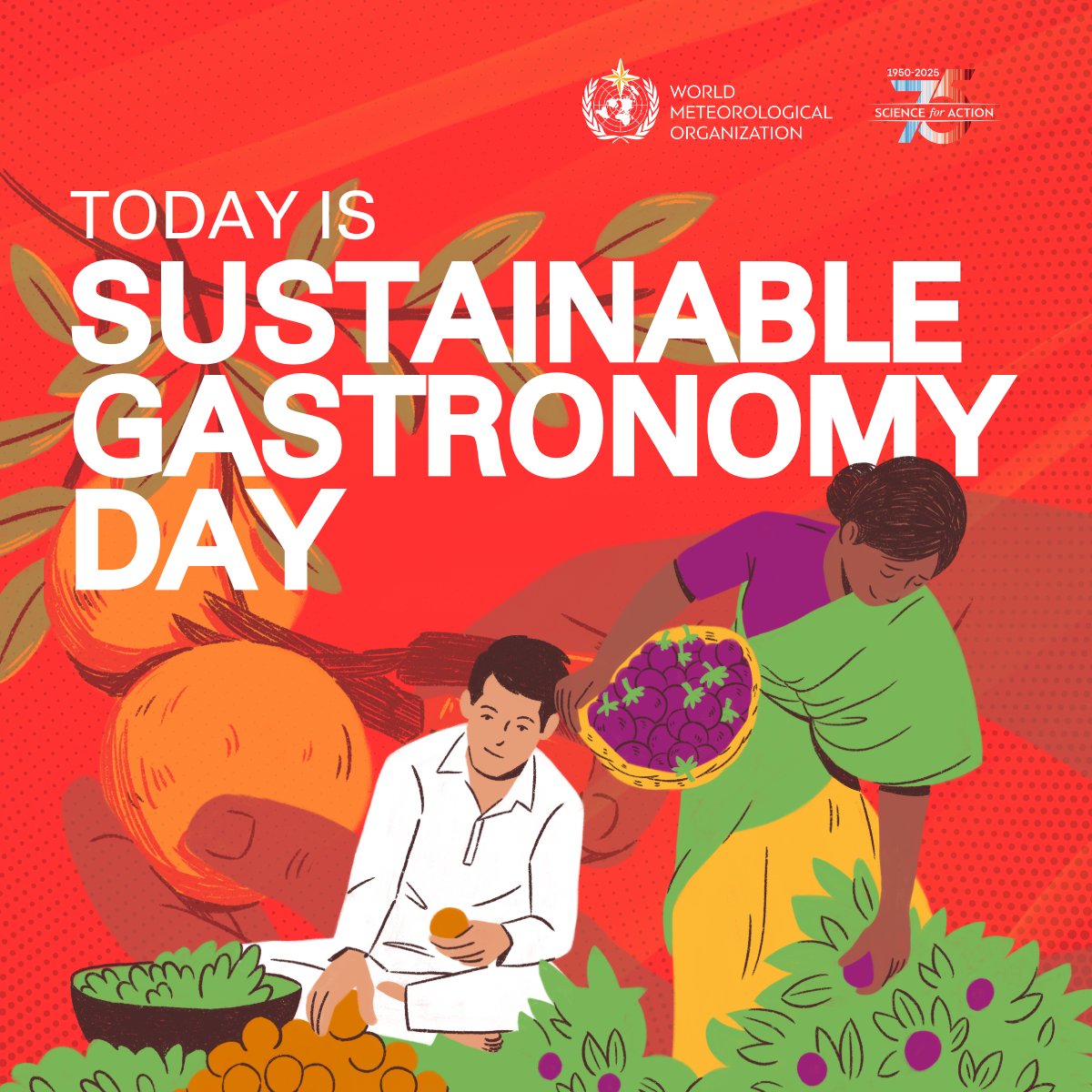 Sustainable gastronomy means growing food wisely, managing water, and adapting to climate change. WMO Members provide meteorological, climatological, and related services to the agricultural community to help develop sustainable and economically viable agricultural systems.