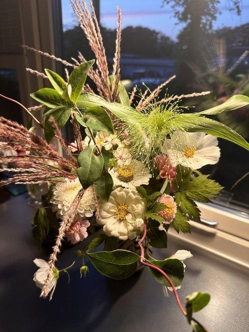 🍎🍎新的一天，願大家保持好心情！😊🍀