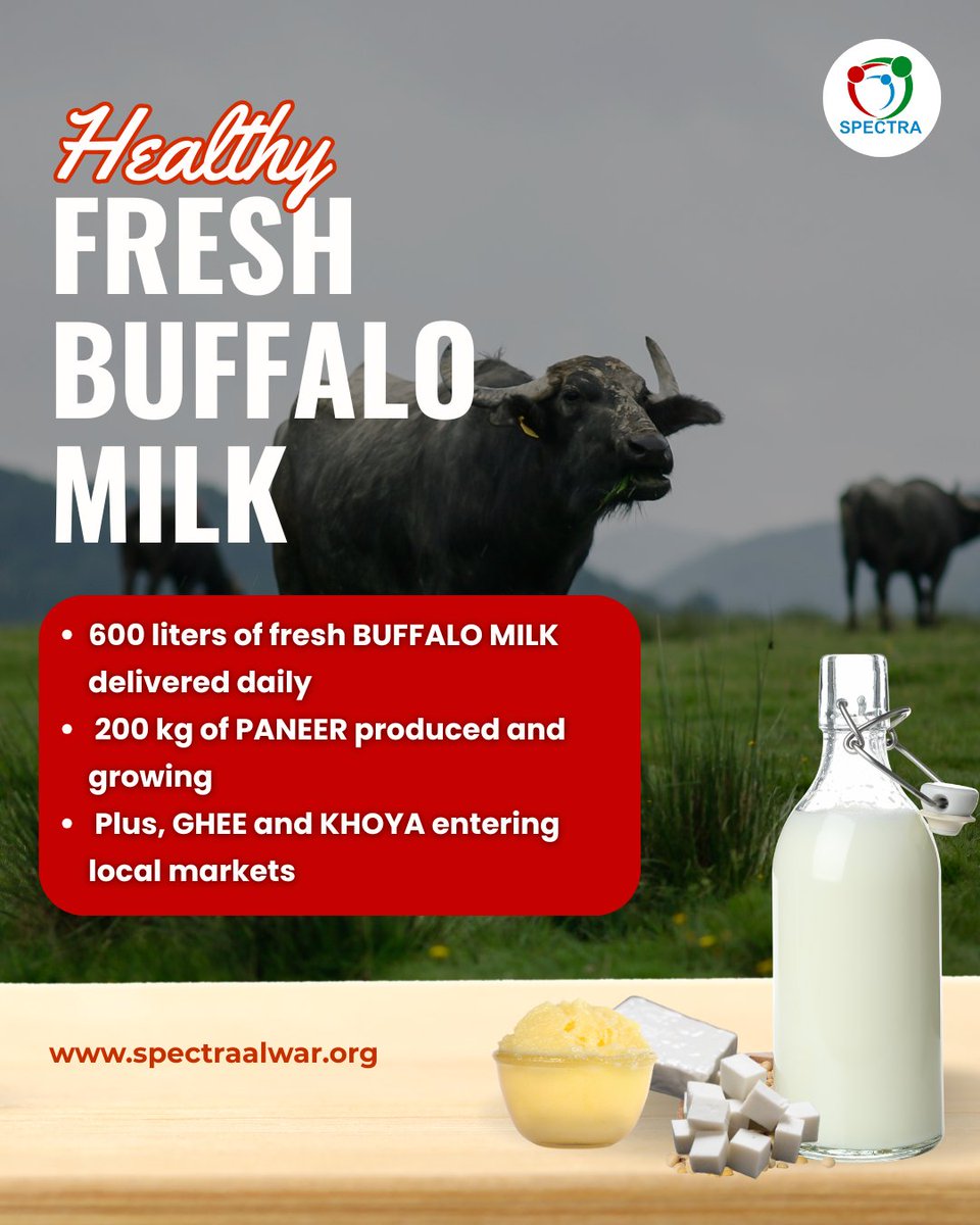 With SPECTRA FPO’s support, rural women are supplying fresh buffalo milk to the community—ensuring quality for consumers and fair income for producers.

#dairyproducts #RuralDevelopment #rurallife #WomenEmpowerment #spectraorganisation
