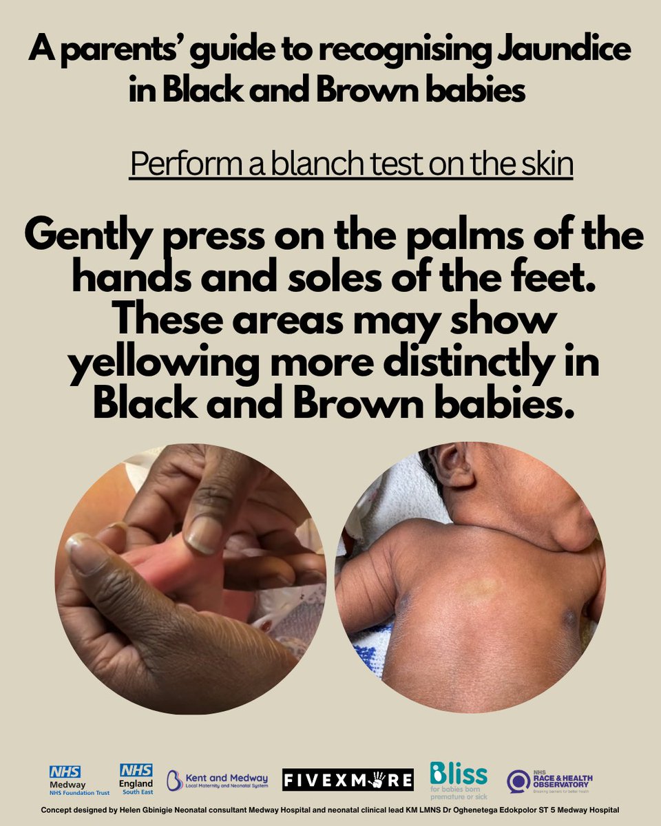 Fivexmore_ tweet media