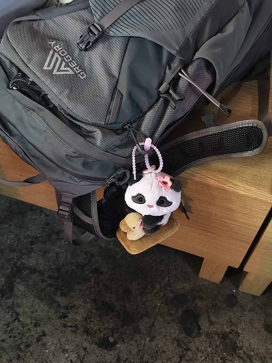 hengwujun__'s tweet photo. 牛子精灵要变旅行青蛙了 https://t.co/olKbzOlj9q