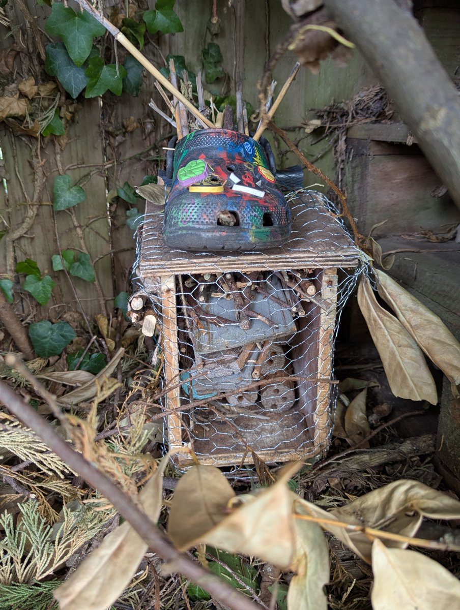 Students from Winston's Eco-Club enjoyed an after-school session crafting "Bug Hotels" for our outdoor learning space! 🐞🌱 Using various materials, they created ideal habitats to enhance biodiversity across the school grounds—a key aim this year! #EcoClub #Biodiversity