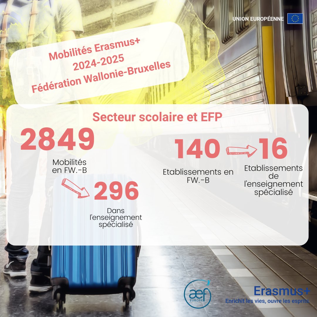 Erasmus+ c’est aussi pour l’enseignement spécialisé !

2849 mobilités Erasmus+ ont permis à des élèves de l’enseignement scolaire ou à des jeunes apprenants de l’EFP de vivre une expérience unique à l’étranger. 296 mobilités ont été réalisées dans l’enseignement spécialisé.