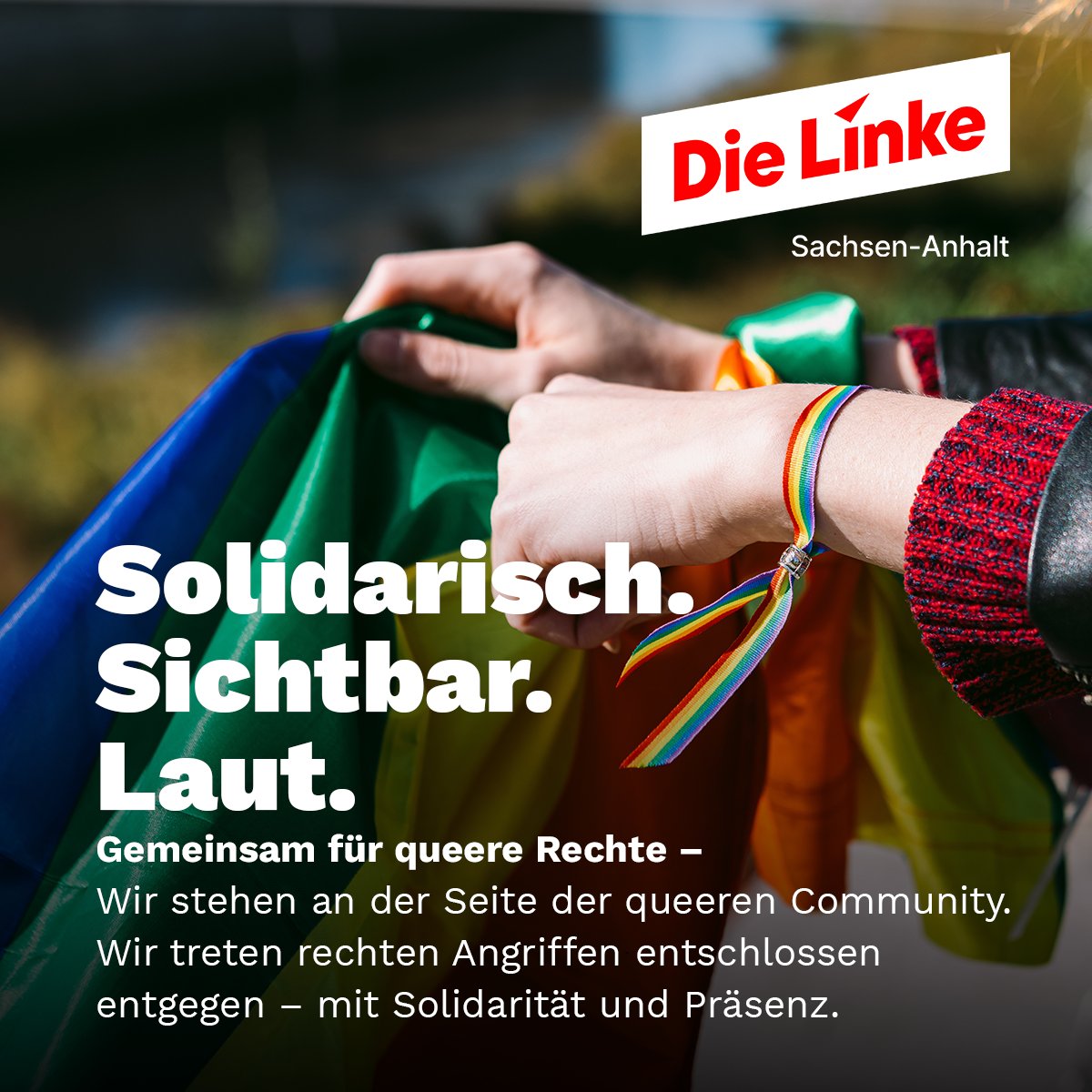 🌈 Solidarisch. Sichtbar. Laut. Gemeinsam für queere Rechte.
Wir stehen an der Seite der queeren Community. Wir treten rechten Angriffen entschlossen entgegen – mit Solidarität und Präsenz.
Lasst uns die CSDs im ganzen Land nutzen, um zu zeigen: Sachsen-Anhalt ist bunt.
