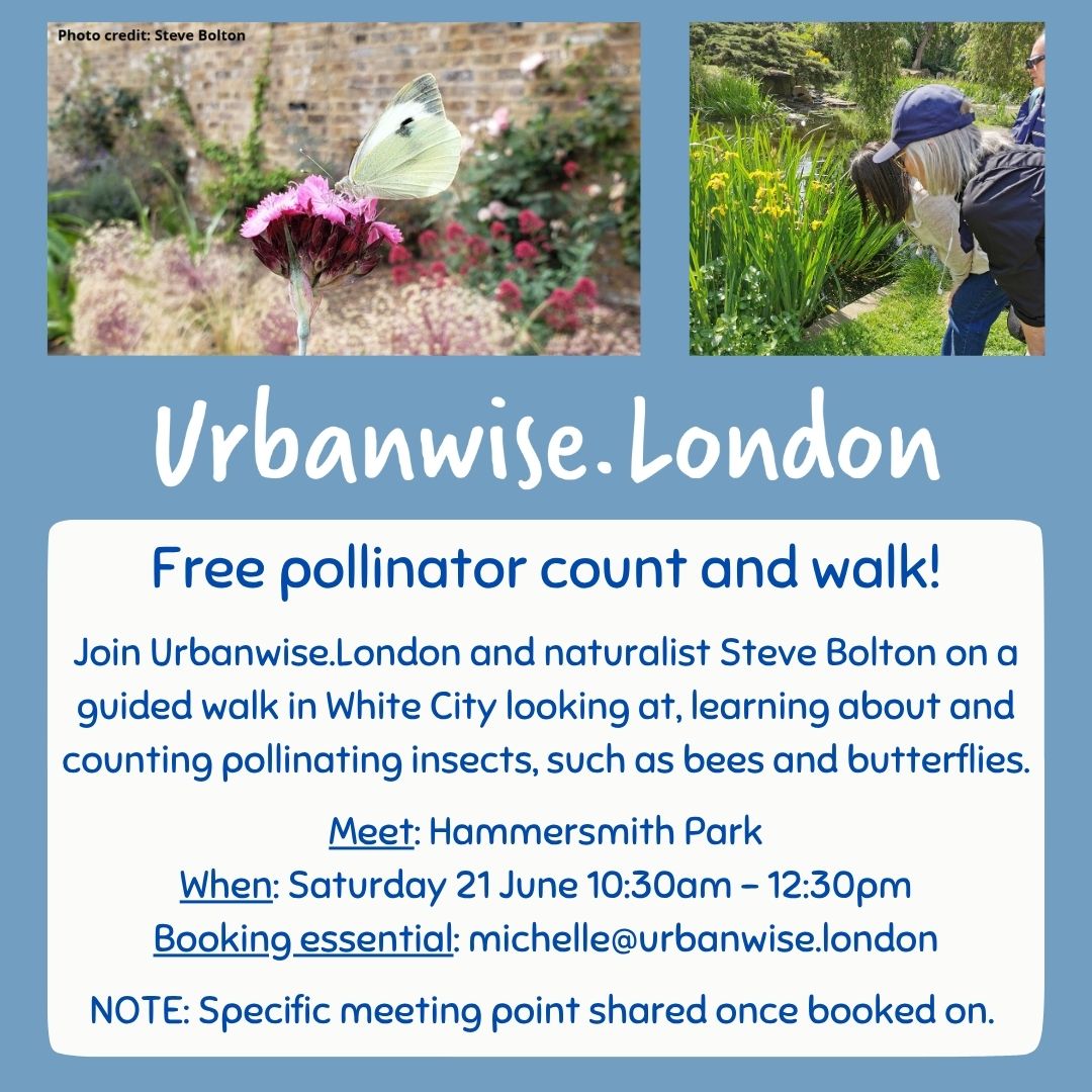 Join our free Pollinator Count and Walk in White City with naturalist Steve Bolton.

When: Sat 21 June, 10:30am - 12:30pm
Meet: Hammersmith Park
Finish: Sawley Road nearby Wormholt Park
Booking essential: michelle@urbanwise.london

@hfcouncil <a href="/bc_bolton/">Steve Bolton</a> #DiscoverYourLondon