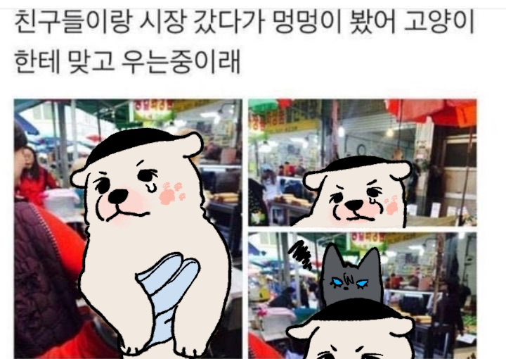 버누 ૮⸝⸝o̴̶̷᷄ ·̫ o̴̶̷̥᷅⸝⸝ა (@nuo___baby) on Twitter photo 