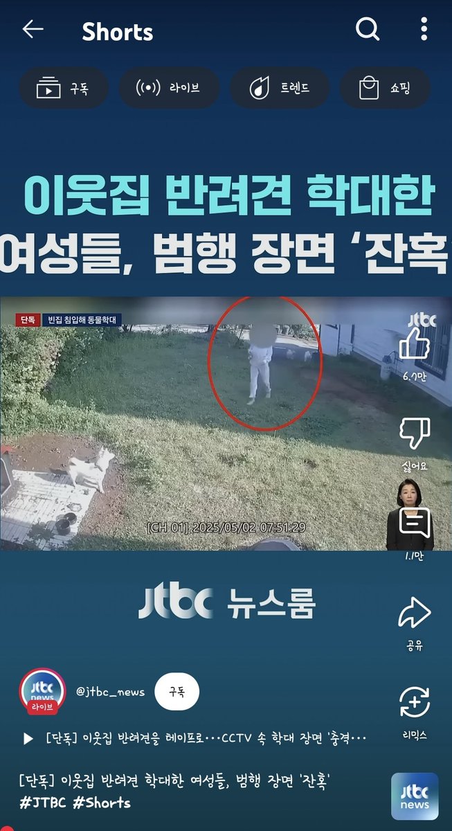 댓글도 댓글이지만 jtbc 측에서도 여성은 언급하지만 남자는 언급하지 않았음
노견에 '비비탄' 수백 발 쏜 "20대 남성들"
