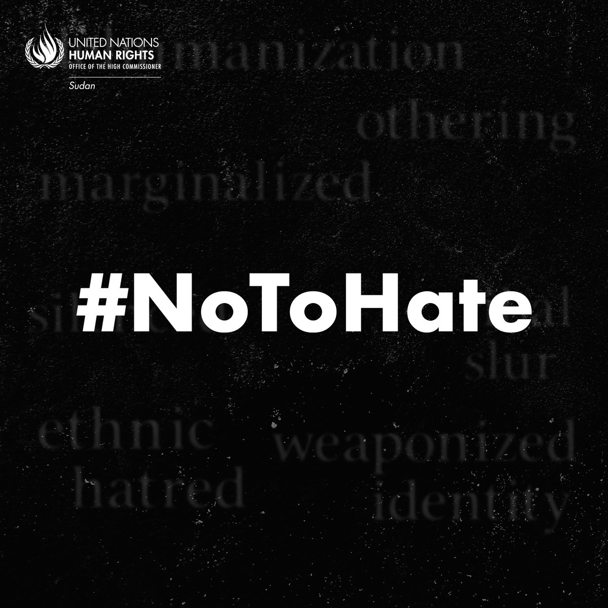 OHCHR_Sudan's tweet image. Hate speech is not just words; it fuels violence. On this International Day to Counter Hate Speech, @UNHumanRights urges all actors to stand up against discrimination and speak up for truth, dignity, and dialogue. In times of conflict, words must heal, not harm. #NoToHate