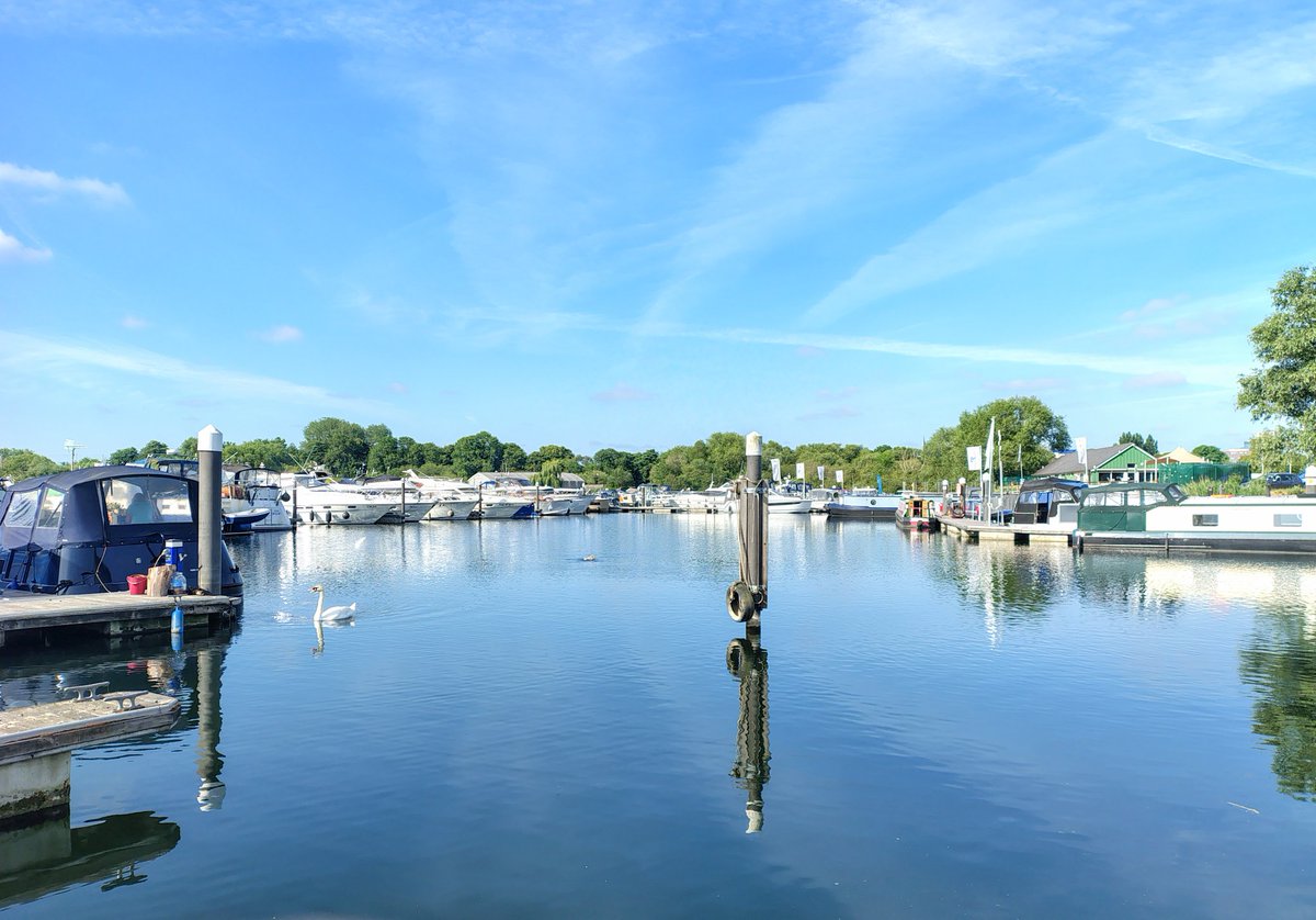 Mike Hammond tweet media