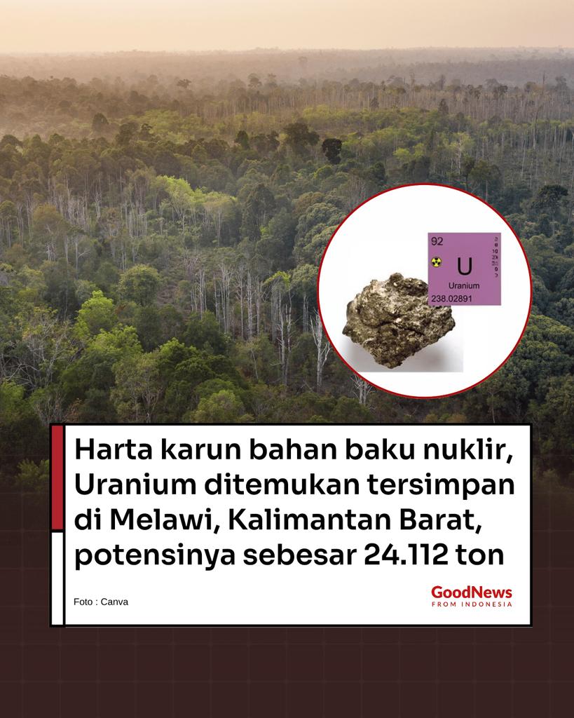 Good News From Indonesia tweet media