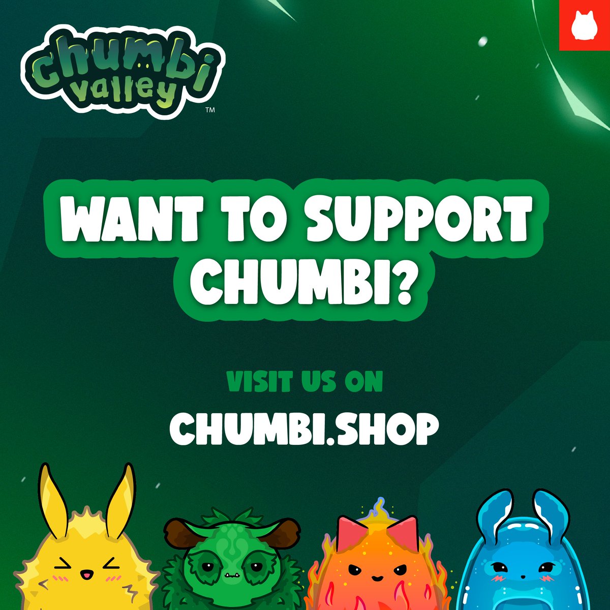 Visit us on chumbi.shop 💚