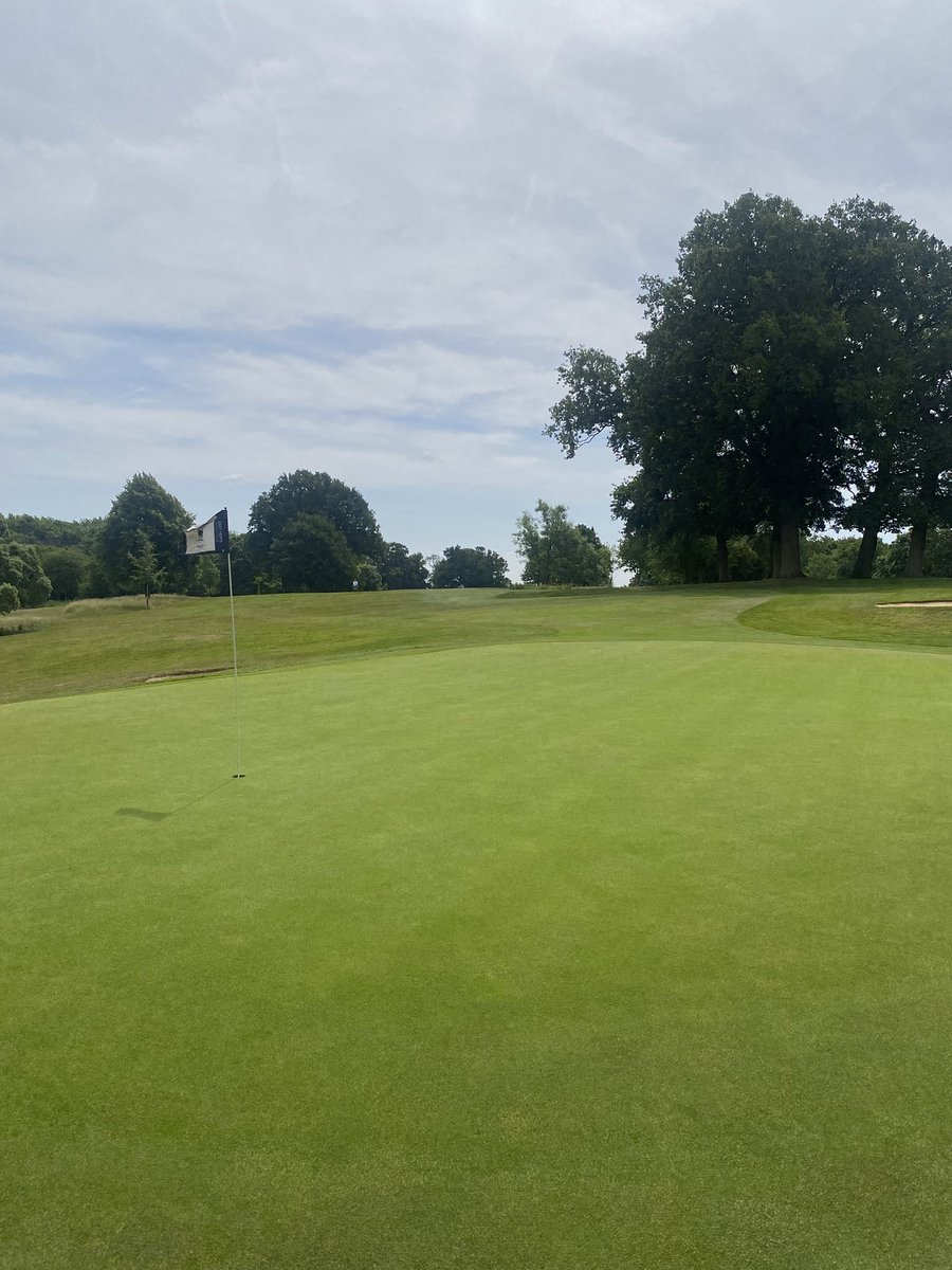 Leigh Chapman (@ctcleighc) on Twitter photo <a href="/Easthertsgc/">East Herts Golf Club,</a> yesterday to see Neil, possibly the best putting surfaces Iโve seen this year.
<a href="/CollierTurfCare/">Collier Turf Care</a> <a href="/Easthertsgc/">East Herts Golf Club,</a> yesterday to see Neil, possibly the best putting surfaces Iโve seen this year.
<a href="/CollierTurfCare/">Collier Turf Care</a>