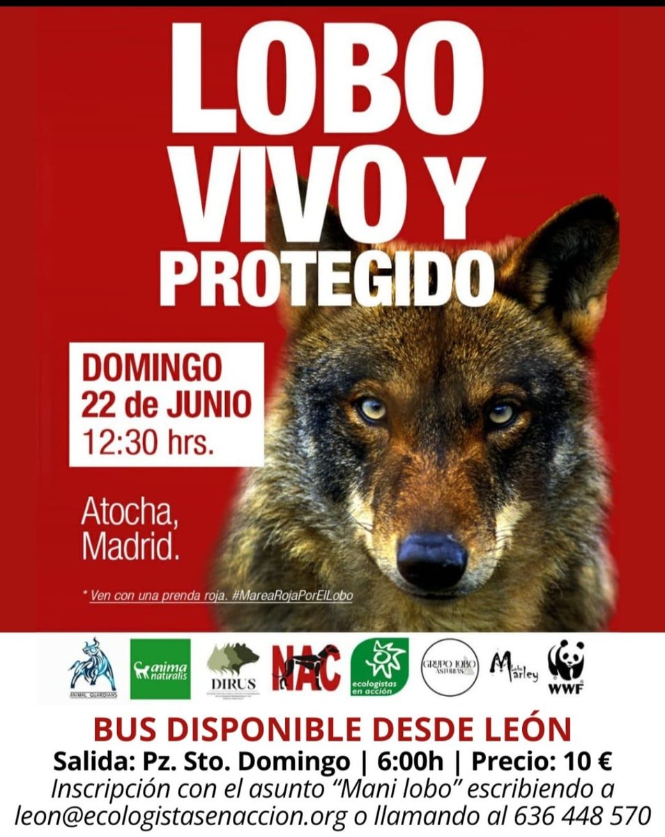 Bierzo Aire Limpio (@bierzoairlimpio) on Twitter photo 