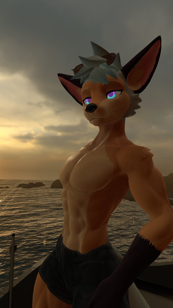 Toko MEFCC (@tokoofox) on Twitter photo 