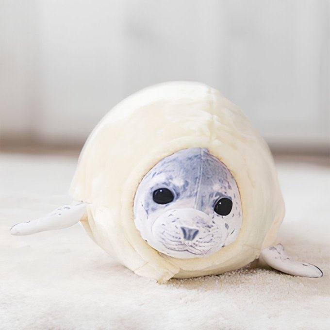 MochiCTOonSol's tweet photo. We are all live in Zoo
#Moodeng is  popular in the world  
$Mochi is next one 
Who is Cute ? https://t.co/hNsDmgzjQz