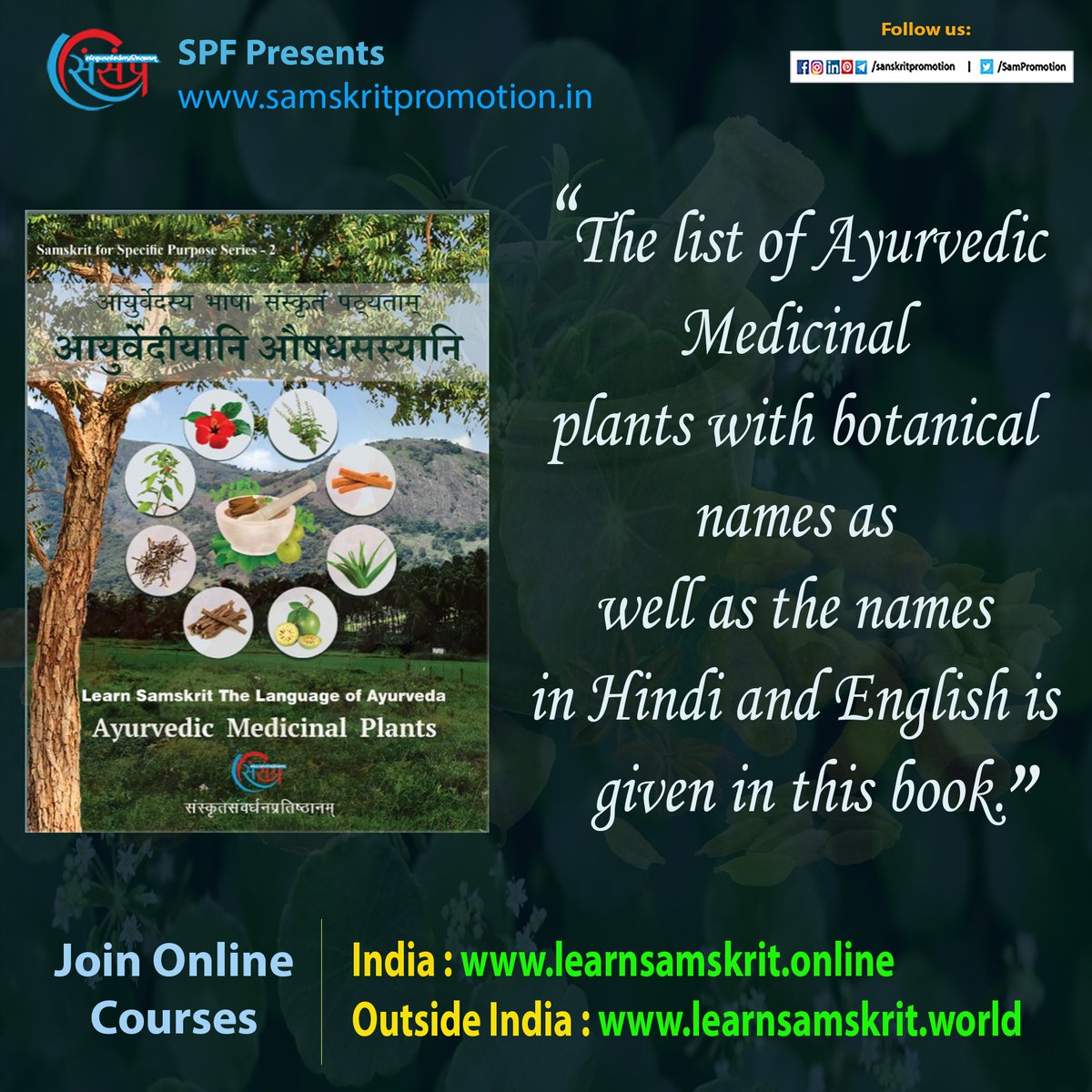 This course is based on Ashtang Hridayam, Charak Samhita, Sushrut Samhita, Rajanighantu and Bhavaprakash.
In this course you will study the properties of some Ayurvedic medicinal plants.

Enroll - bit.ly/46BuoXd

#ayurveda #learnsanskritonline #sanskritcourse