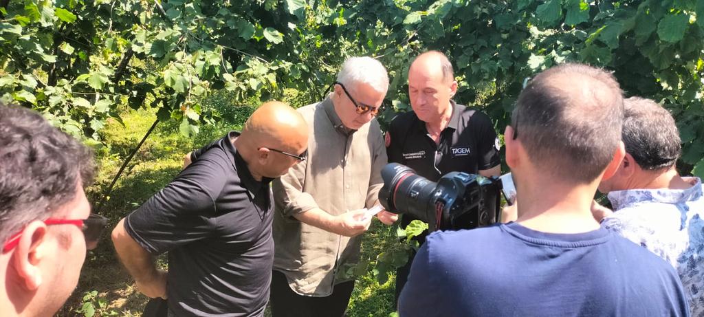 SAMURAY ARISI SALIMI
Fındık Araştırma Enstitüsü Laboratuvarlarında, Kahverengi Kokarcayla Mücadele kapsamında üretilen “Samuray Arıları” Giresun’un Keşap ilçesindeki Düzköy Mahallesi’nde doğaya salındı…

                    instagram.com/p/DLCRxxKKpeQ/…
