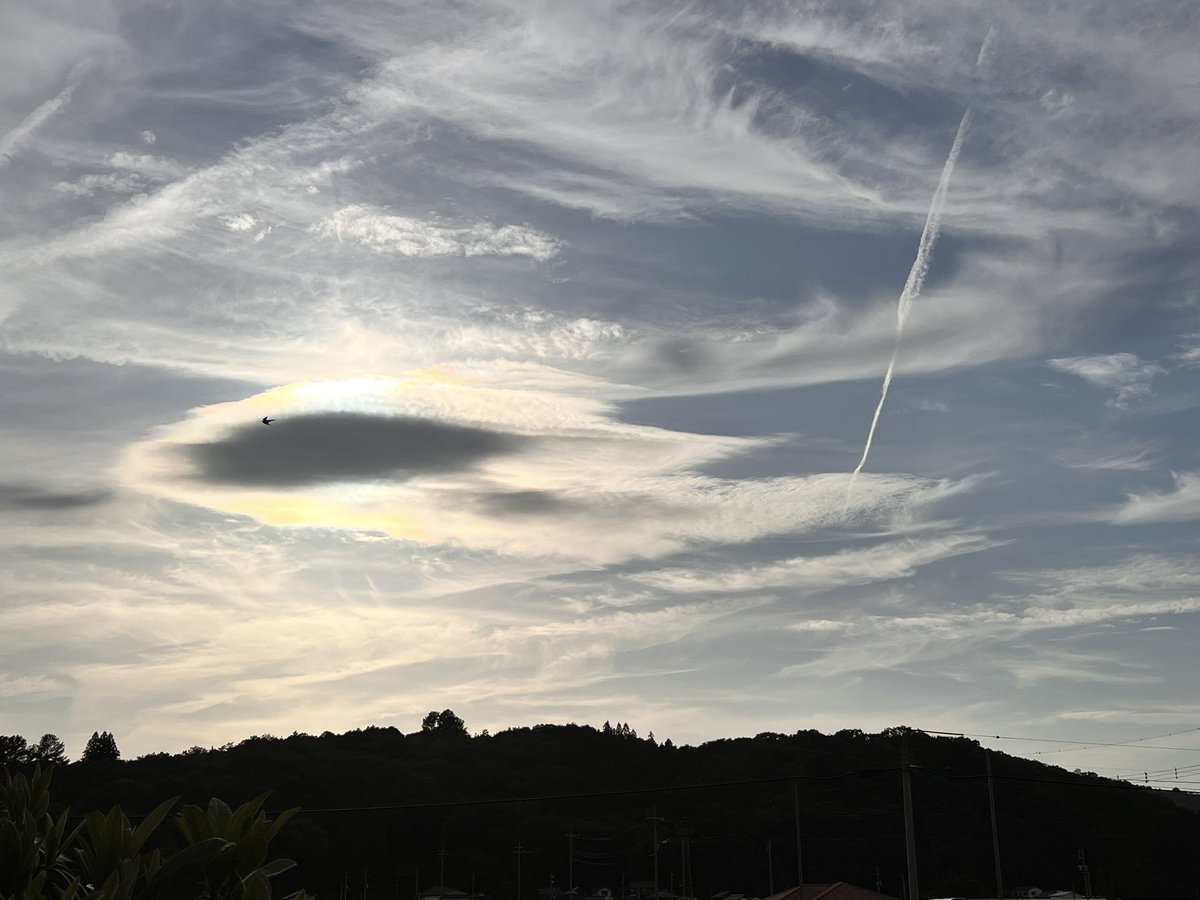 雲の上下が光ってて綺麗🥹
…ちょうどツバメが横切った🤣