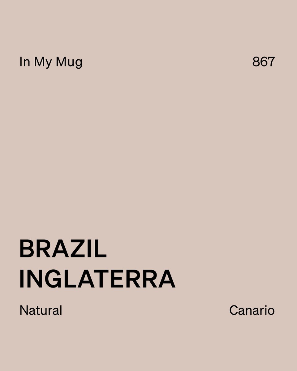 ozonecoffeeuk's tweet photo. This week’s In My Mug: Natural Canario from Fazenda Inglaterra, Brazil 🇧🇷 A big mug of walnut + brown sugar, with dried currants on the finish. We’ve sourced from this farm for over a decade — a special place with rich soil, high altitudes &amp; deep roots with Ozone Coffee☕ https://t.co/p1oAjkcAZM