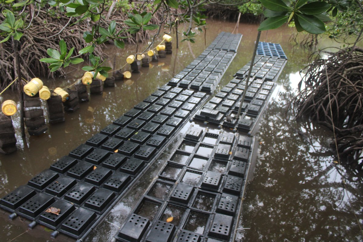 Community Based Environmental Conservation (COBEC) tweet media