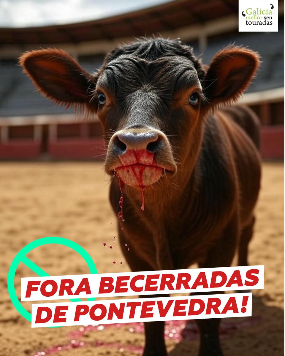FORA TAUROMAFIA ‼️ 

Hai que presionar a presidente <a href="/AlfonsoRuedaGal/">Alfonso Rueda</a> para que non permitan esta atrocidade en #Pontevedra.

É inadmisible que isto sexa legal.