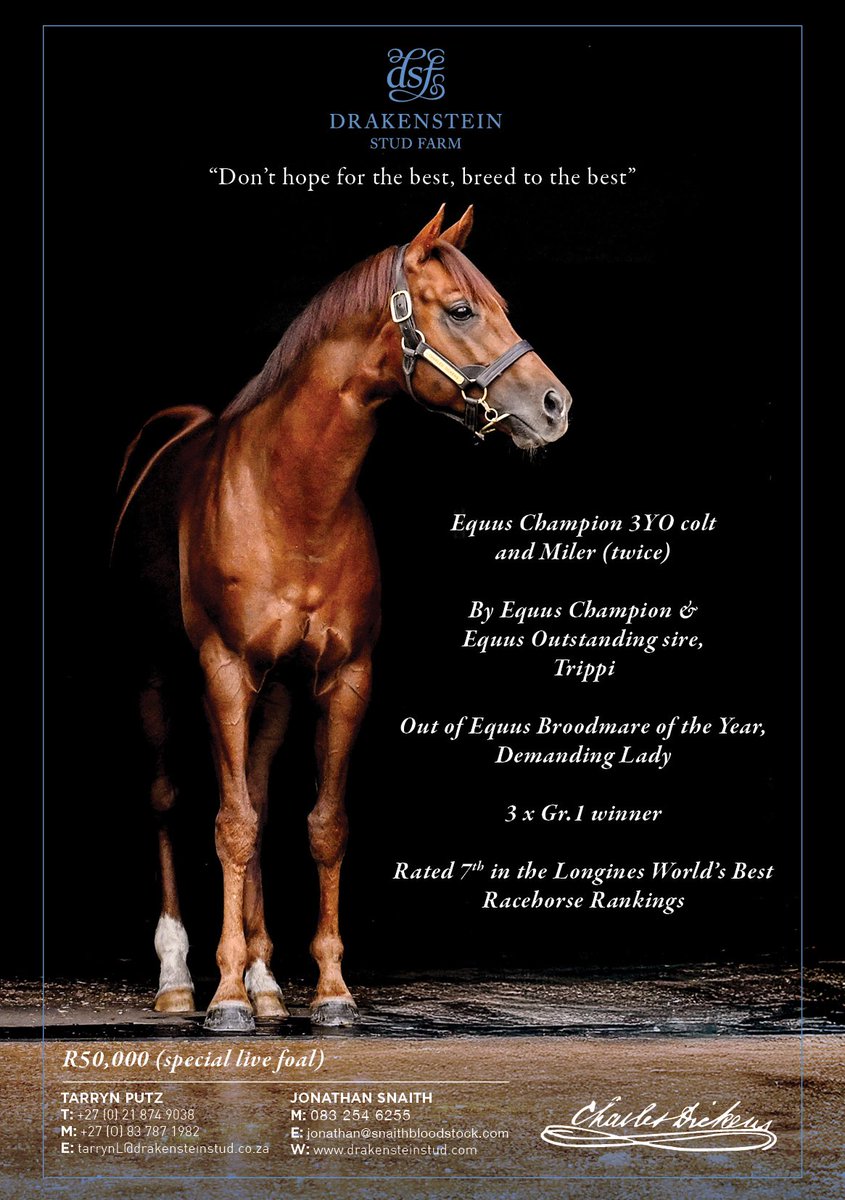 Drakenstein Stud (@drakensteinstud) on Twitter photo 