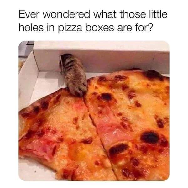 <a href="/OdieOrville/">THE Odie Bob Orville 😺</a> <a href="/MissyElsie/">🏳️‍🌈Mitzi 💜 Dook (RIP)🇦🇺</a> <a href="/tiggy_deni35304/">Tiggy & Denise(Mum)</a> <a href="/Loopin24/">Tracey, Sox and Sooty</a> <a href="/JLthekid9999/">Jack5928</a> <a href="/arsekat/">9 Lives And Counting</a> <a href="/starskys_lady/">Barb & Jadzia 🐈🐾🎶🎶🎶</a> <a href="/Hedgewatchers/">Hedgewatch</a> <a href="/bestbuds21/">Zoe_thewondercat</a> <a href="/Gorillababe/">gorillafan</a> <a href="/cassalia12/">Lil Roo 74</a> <a href="/TeresaLAlley1/">Teresa L Alley</a> <a href="/JaneBirak/">GingermonsterZiggy 🎗🇮🇱🏴󠁧󠁢󠁥󠁮󠁧󠁿🧡🐾🐾🧡</a> <a href="/Phoebe_the_Catt/">Phoebe Cat</a> <a href="/gingertheorange/">gingerthecat🇺🇦🇬🇧</a> <a href="/psiangelic/">Angel Heath & His Mommy 💞</a> <a href="/AlienBunny123/">Bunny</a> <a href="/bambamellis/">bambam 🇨🇦</a> Well, there you have it.