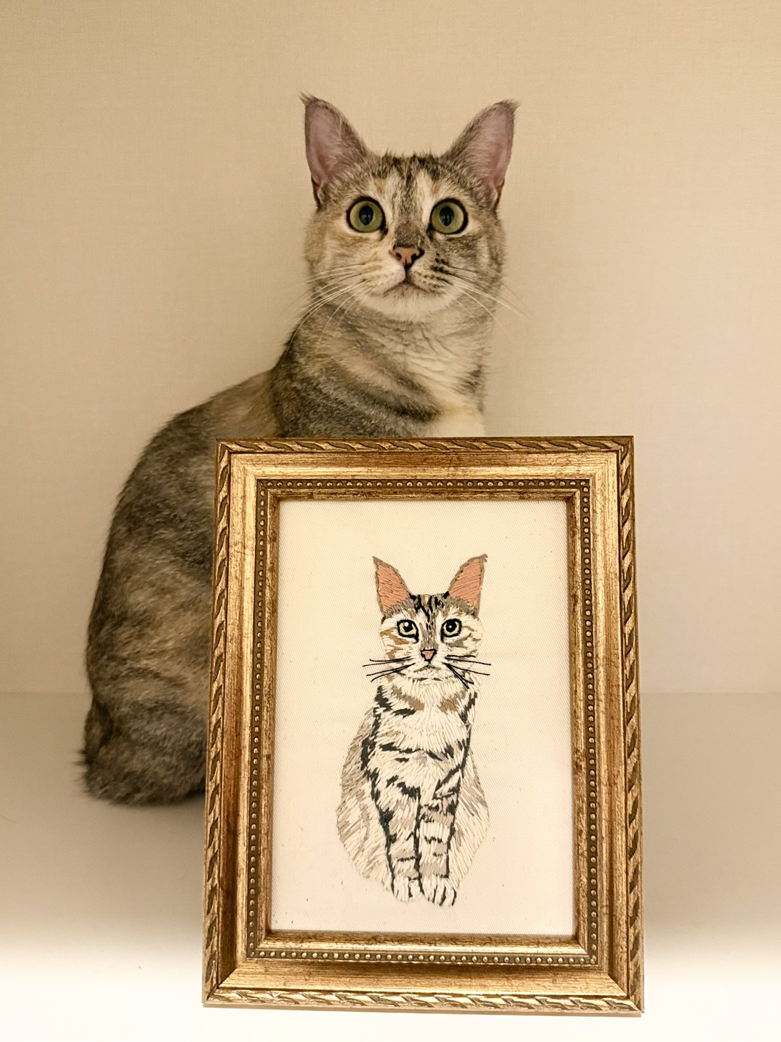 小菅くみ クロネコCAP 刺繍作家 刺繍作家、小菅くみちゃんの手刺繍