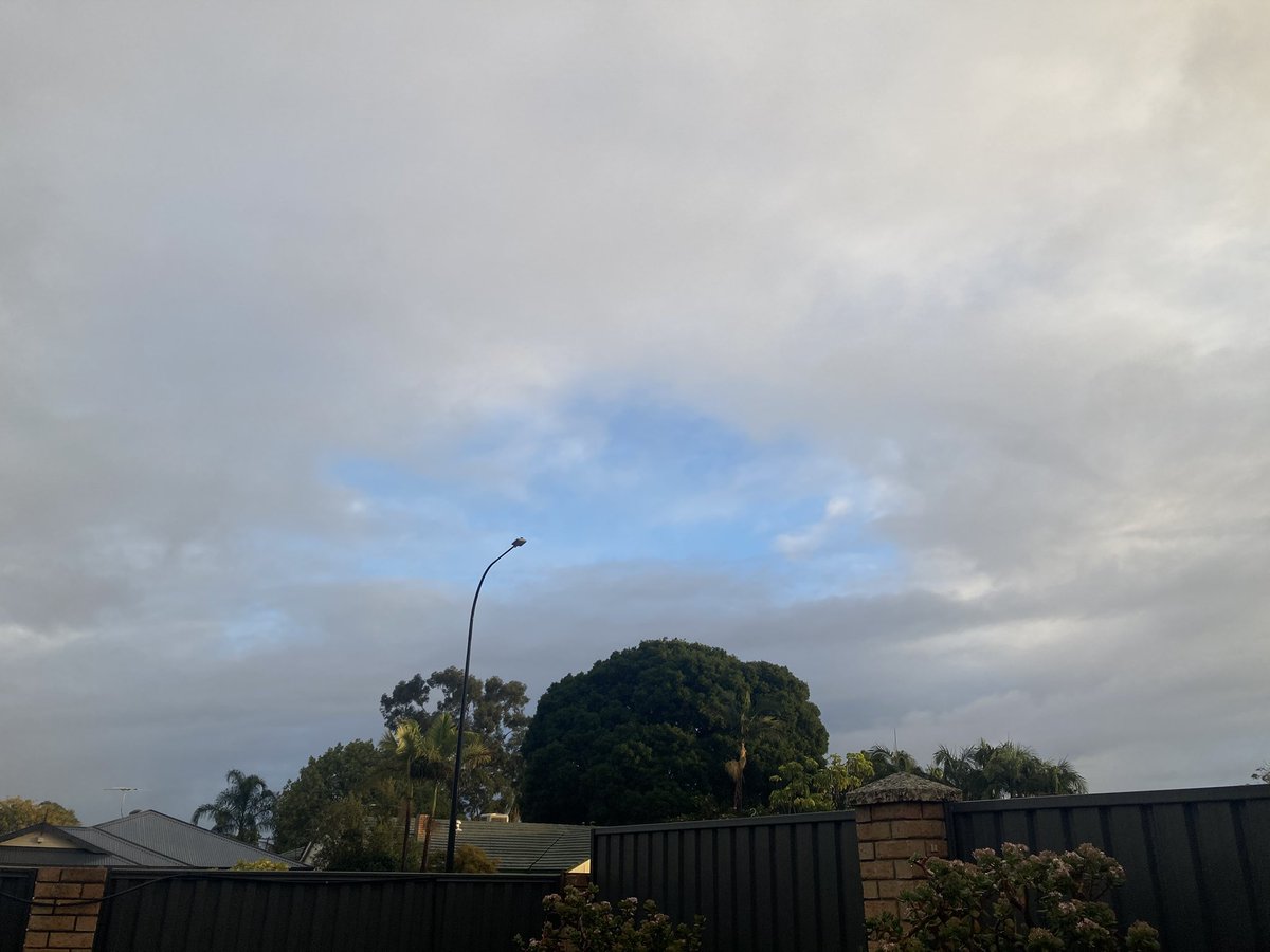 <a href="/weather_wa/">Weather WA</a> <a href="/BunburyWeather/">SWWeatherWA</a> <a href="/ImTheOnlyAstro/">TheOnlyAstro</a> <a href="/MJG_1990/">Michael</a> <a href="/coffeevanishere/">thecoffeevanishere</a> <a href="/drstip/">Dr 'Variant of Concern' Stip #BLM 😷🌈 🧶☠️ ☢️</a> <a href="/baxlex/">Scott</a> <a href="/ManjitK6987/">💧🎀 Manjit Kaur</a> <a href="/Barnsy_Lisa/">Lisa Barnes</a> <a href="/speedbird020/">Alex 🇭🇲</a> <a href="/Sparrow_65/">Sparrow65</a> <a href="/2017Ferret/">The Weather Ferret</a> The suns poking thru ☀️