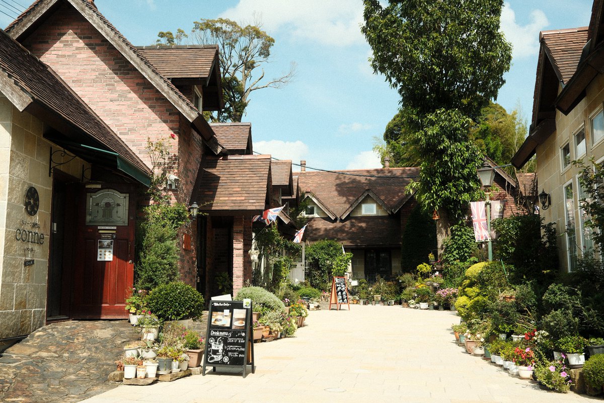 ソイ🌾大豆由来 tweet media