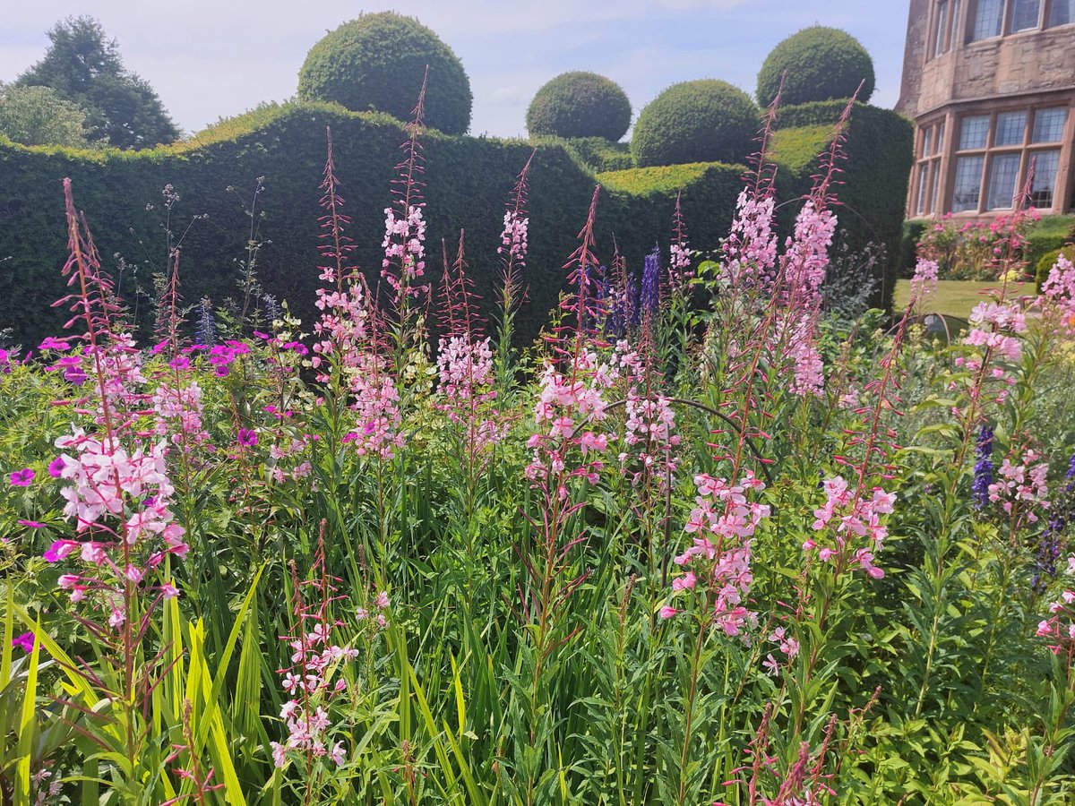 LambleyWi's tweet photo. Day18 #30DaysWild Fabulous day out to #FellyPriory gardens and tea room! Lovely to just stroll around and sit peacefully watching the world go by. 
@WomensInstitute @30DaysWild @NottsFedWI https://t.co/lEIZvXLkQF