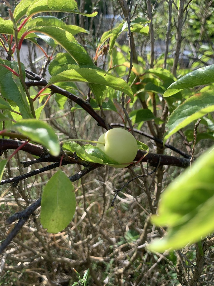 Mark Blackburn tweet media