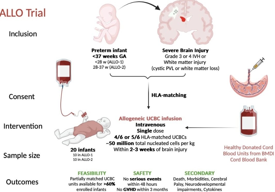 Atul Malhotra (@atul_monash) on Twitter photo Cord blood cell therapy for preterm brain injury:
Autologous phase 1 study completed: CORD-SaFe paper in <a href="/eBioMedicine/">eBioMedicine – The Lancet Discovery Science</a>: pubmed.ncbi.nlm.nih.gov/39674685/ <a href="/LindsayDZhou/">Lindsay Zhou</a>
Allogeneic phase 1 study ongoing:
Allo trial protocol just out in <a href="/BMJ_Open/">BMJ_Open</a>: bmjopen.bmj.com/content/15/6/e… <a href="/DrAbdulRazak_MD/">Abdul Razak</a> Cord blood cell therapy for preterm brain injury:
Autologous phase 1 study completed: CORD-SaFe paper in <a href="/eBioMedicine/">eBioMedicine – The Lancet Discovery Science</a>: pubmed.ncbi.nlm.nih.gov/39674685/ <a href="/LindsayDZhou/">Lindsay Zhou</a>
Allogeneic phase 1 study ongoing:
Allo trial protocol just out in <a href="/BMJ_Open/">BMJ_Open</a>: bmjopen.bmj.com/content/15/6/e… <a href="/DrAbdulRazak_MD/">Abdul Razak</a>