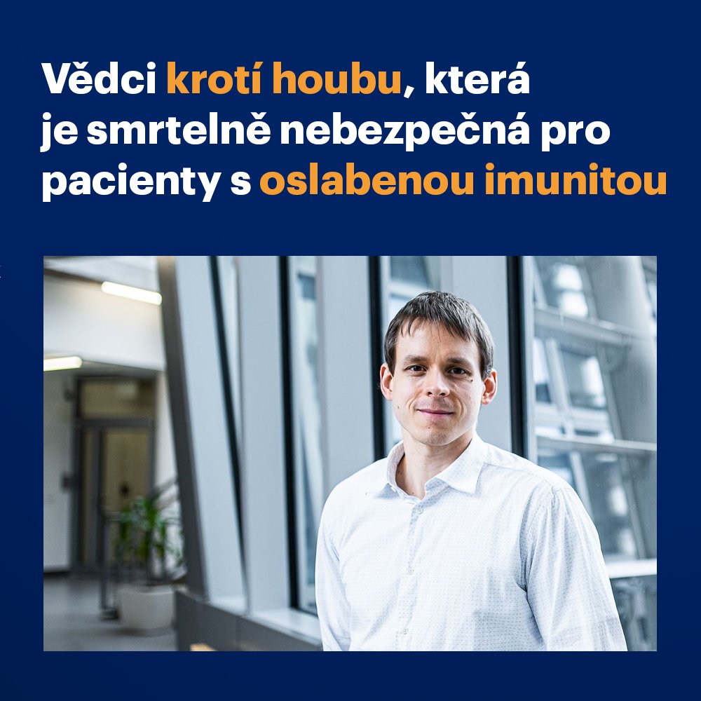 IOCBPrague's tweet image. Tým vedený prof. @konvalinka_jan  připravil látku, která v laboratorních podmínkách ničí kvasinkovou houbu #Cryptococcus neoformans (kryptokokus), smrtelně nebezpečnou pro lidi s oslabeným imunitním systémem. 🧵

#chemistry #Cryptococcus #chemie #uochb #iocb #iocbprague…