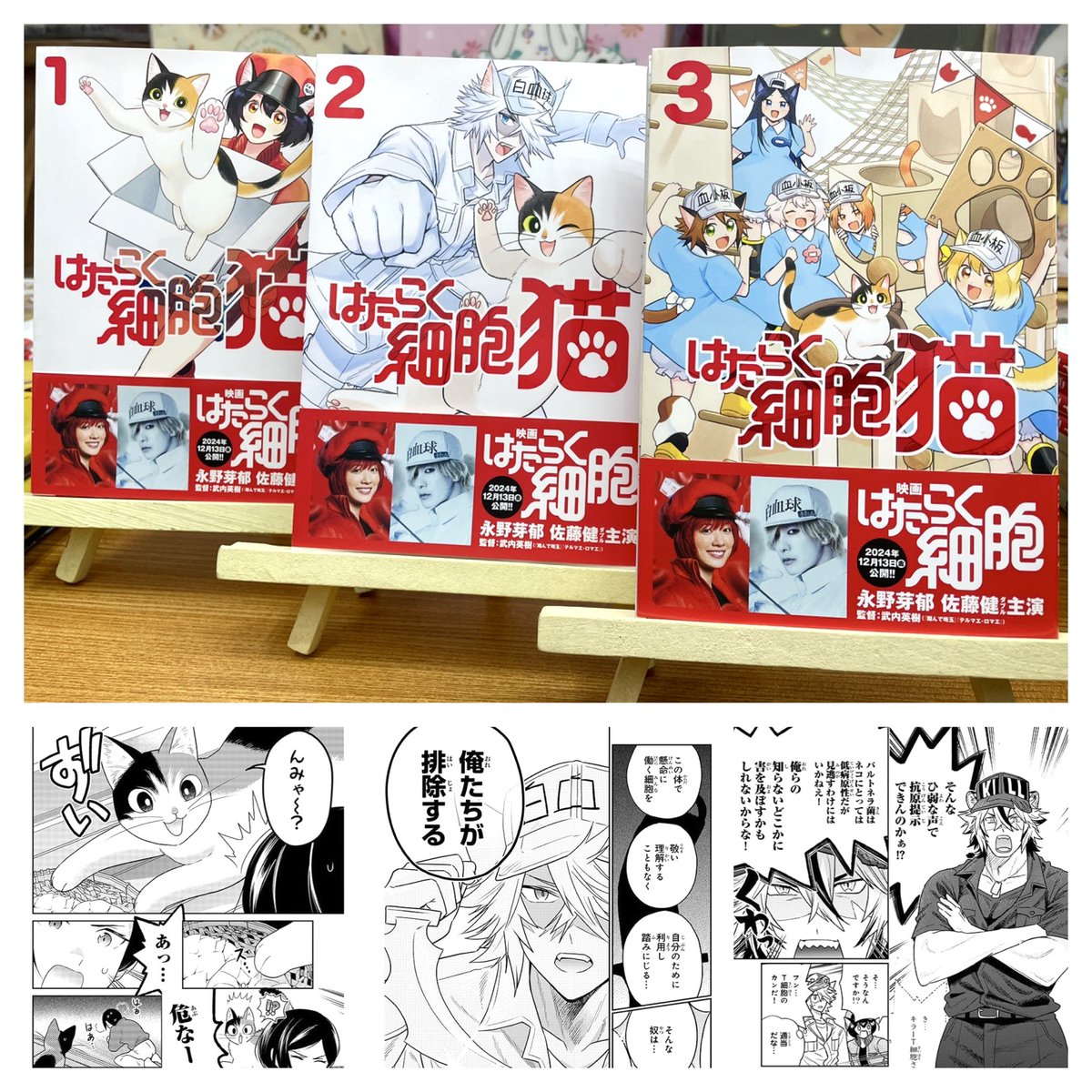 “はたらく細胞” ネコ編🐾 猫の熱中症など夏に向けての内容は3巻がオススメ💡
愛猫の緊急時、異変をキャッチした細胞たちが猛烈な勢いで働きまくる！ 
1巻：ダニ予防、嘔吐、毛球症、猫ひっかき病、爪切り
2巻：特発性膀胱炎、ユリ中毒、乳腺炎、乳腺腫瘍（前・後編）